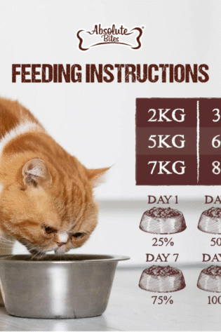 AB Raw Chunks FreezeDried Cat 150g - Salmon Recipe