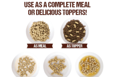 AB Raw Chunks FreezeDried Cat 150g - Salmon Recipe