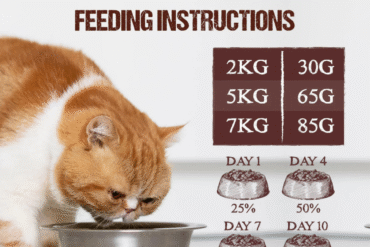 AB Raw Chunks FreezeDried Cat 150g - Rabbit Recipe