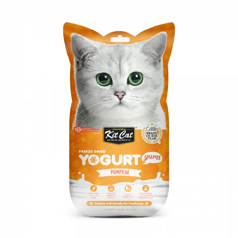 Kit Cat Yogurt Yums Pumpkin